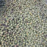 گردو درجه یک|خوردنی و آشامیدنی|تهران, فرحزاد|دیوار