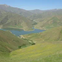 پیکان  اسینم  تمیس ۸۳