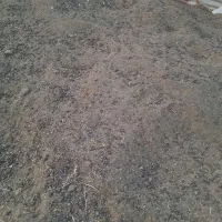 کود حیوانی درجه یک