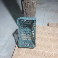 سبد خربزه ملون