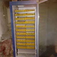 دستگاه جوجه کشی|ماشینآلات صنعتی|تالش, طولارود|دیوار