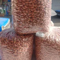 بادام زمینی