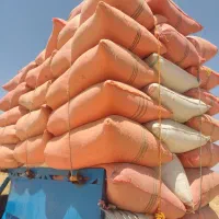 کاه تمیز درجه یک