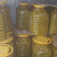 فروش بی واسطه انواع زیتون انواع ترشی و ترشک و..|عمده‌فروشی|تهران, گمرک|دیوار