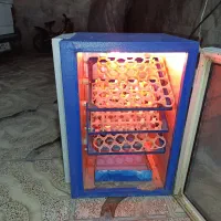 دستگاه جوجه کشی 126 تای