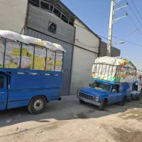 گونی اردی 70صادراتی گونی لمین ساده|عمدهفروشی|ری, علایین|دیوار