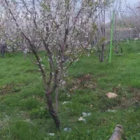 راهنمایی کنید