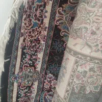 فرش فروشی|فرش|شیراز, شهرک گلستان|دیوار