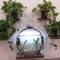 آکواریوم خاص|ماهی|شیراز, نصرآباد|دیوار
