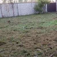 علف زنی و هرس کردن درختان با دستگاه|خدمات باغبانی و درختکاری|رشت, حومه رشت|دیوار