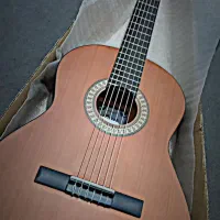 گیتار پارسی مدل پی هشتاد بهترین گیتار ایرانی کیف|گیتار، بیس، امپلیفایر|مشهد, توس (بلوار توس)|دیوار