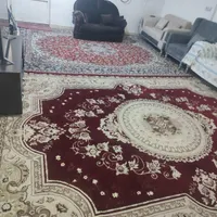دوتا قالی 12متری