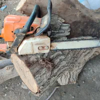 خریدو فروش چوب هیزمی و صنعتی