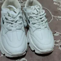 کفش|کیف، کفش، کمربند|فریدون‌کنار, |دیوار