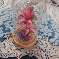 تعدادی  دکوری زیبا|مجسمه، تندیس، ماکت|بندرعباس, |دیوار