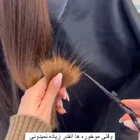 عمرا اگه باور کنی