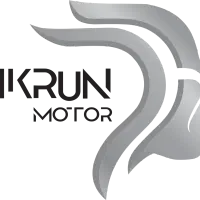 نیروی خدمات اختصاصی مدیرعامل