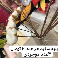 فروش وسایل گل‌آرایی(گلفروشی)|گل و گیاه طبیعی|شیراز, شهرک گلدشت حافظ‎|دیوار