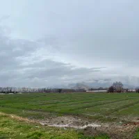 5هکتارزمین کشاورزی