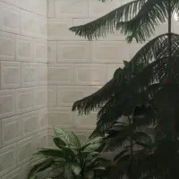 گل مطبق گاج ۲/۵متری|گل و گیاه طبیعی|بیستون, |دیوار