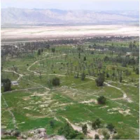 فروش زمین نخلستان مهر