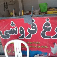 وسایل مرغ فروشی کامل صفر تا صد|ابزارآلات|سرپل ذهاب, |دیوار