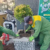 فضای سبز