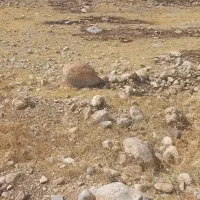 زمین تجاری مغازه|فروش دفتر صنعتی، کشاورزی، تجاری|دوگنبدان, |دیوار