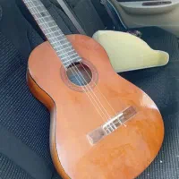 معاوضه گیتار با مرغ تخمگذار