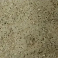 برنج کامفیروزی