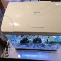 آکواریوم 120 لیتری با ماهی و گیاه طبیعی|ماهی|تهران, پونک|دیوار