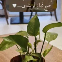 طبقه بالا پشته حسین آباد
