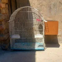 فروش قفس