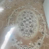 فروش قرش ۶ متری