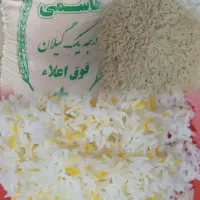 فروش عمده برنج پرمحصول هاشمی کف قیمت بازار