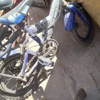 کیسه بوکس،قفس،دوچرخه|حراج|قم, کیوانفر|دیوار