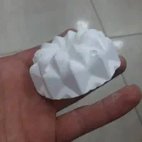 فروش طوطی|پرنده|نوشهر, |دیوار