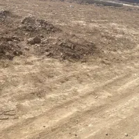 زمین-باغ-چاب-طلا-مرزیجران