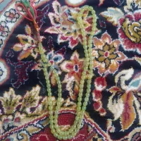 تسبیح شاه مقصود افغان