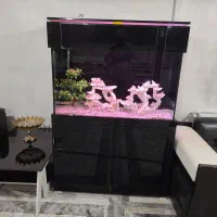 آکواریوم خاص و لاکچری با ماهی های دیسکس