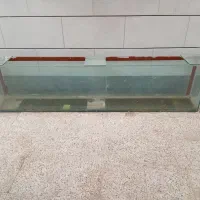 شیشه آکواریوم