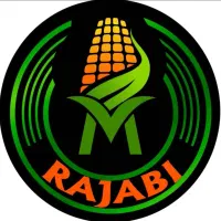 استخدام نیروی کار