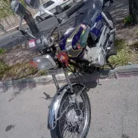 رهرو مزایده عروسک