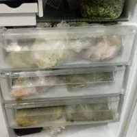 یخچال ایران شرق|یخچال و فریزر|نیشابور, دهنو|دیوار