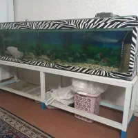 تصفیه اکواریم به همراه خود اکواریم و پایه