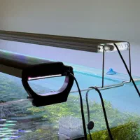 نور مخصوص پلنت|ماهی|بهبهان, |دیوار