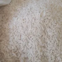 برنج طارم محلی