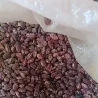لوبیاقرمز کیلویی ۱۰۰تومان چیتی ۲۰۰عدس ۱۰۰نخود۱۱۰|خوردنی و آشامیدنی|پاکدشت, پاکدشت (مامازند)|دیوار