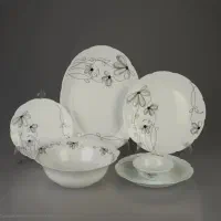 اوپال دسینی  ۲۶ پارچه  طرح شارلوت (لاله سیاه)|ظروف سرو و پذیرایی|تبریز, |دیوار