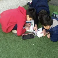 پخش و اجرا انواع چمن مصنوعی و فنس چمن|مصالح و تجهیزات ساختمان|تهران, شهرک فردوس (حسینی)|دیوار